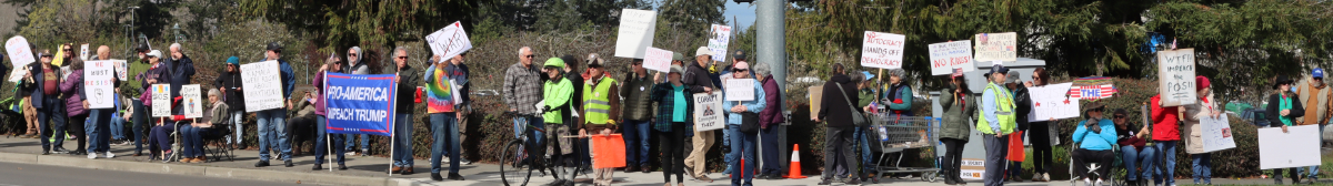 protesters along street