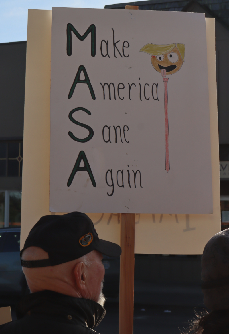 make america sane again sign