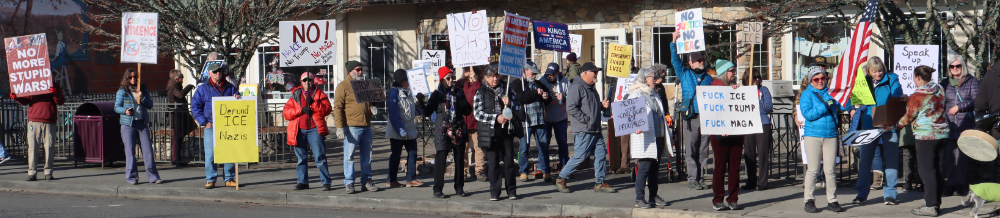 crowd on curb demonstrating