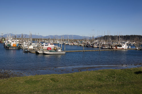 Makah boat harbor