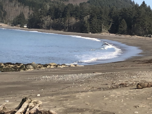 A sandy beach