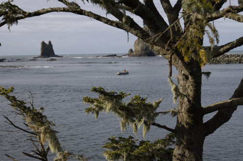 Quileute reservation beach