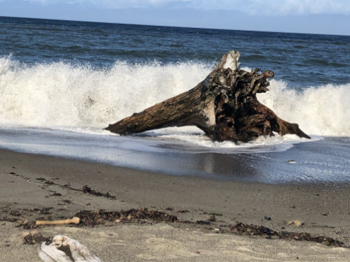 Waves on the beach