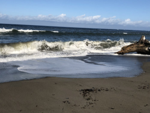 Waves on the beach